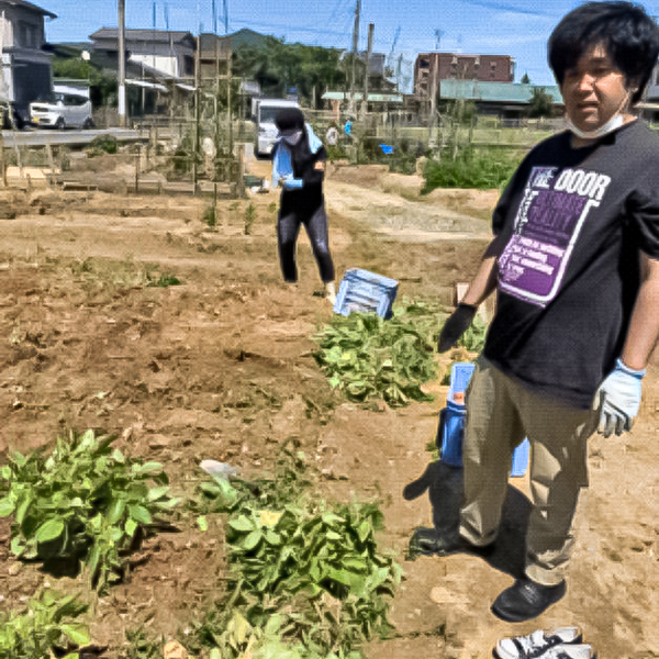 野外作業_畑仕事_就労継続支援B型事業所SU